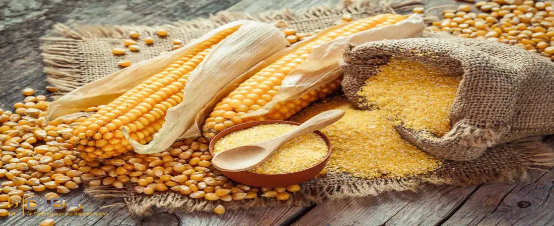importing-corn-to-iran
